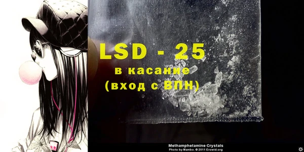 крисы Алзамай