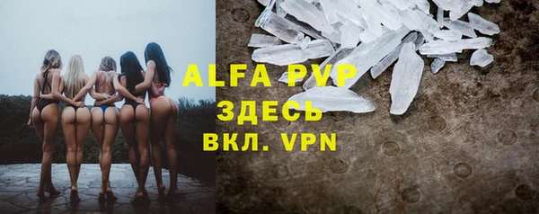 крисы Алзамай