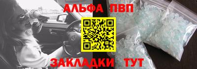гидра Тара
