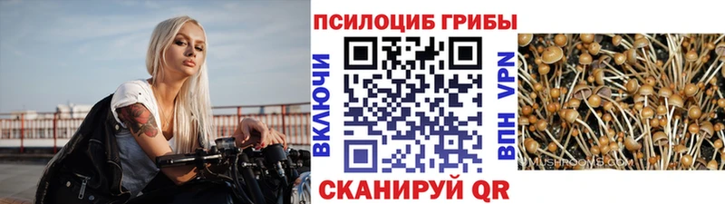 хочу наркоту  МЕГА ссылки  Галлюциногенные грибы мицелий  Петрозаводск 