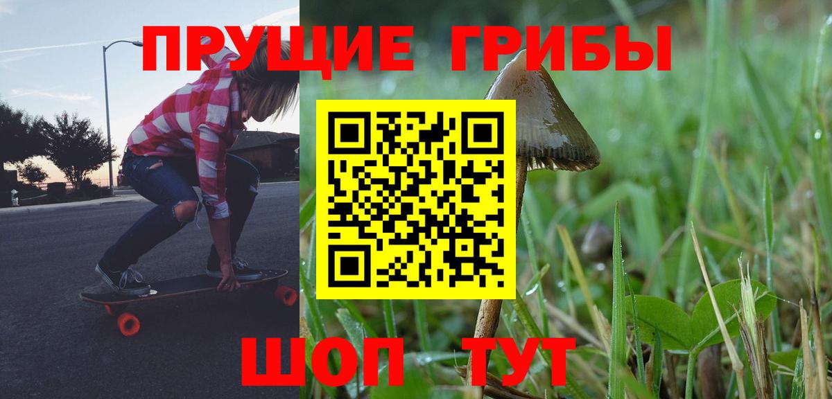 Петрозаводск  Псилоцибиновые грибы Cubensis  Вход с VPN 